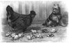 Library Of Congress Chicks And Puppy Image